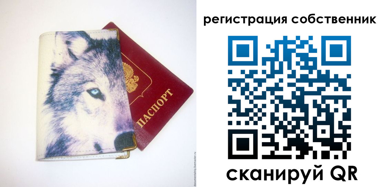 временная регистрация гарантия в Лыткарино